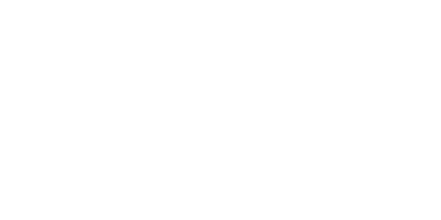 Dolphin Markets